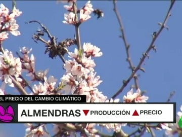 Frame 24.675152 de: cambio climático Frame 24.675152 de: cambio climático