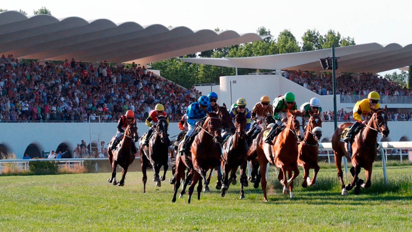 Una carrera en el Hip&oacute;dromo de la Zarzuela