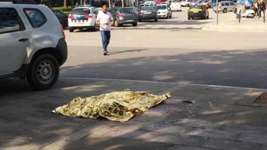 Imagen del perro abatido en Barcelona