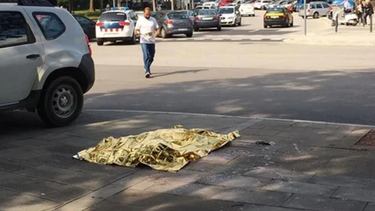 Imagen del perro abatido en Barcelona Imagen del perro abatido en Barcelona