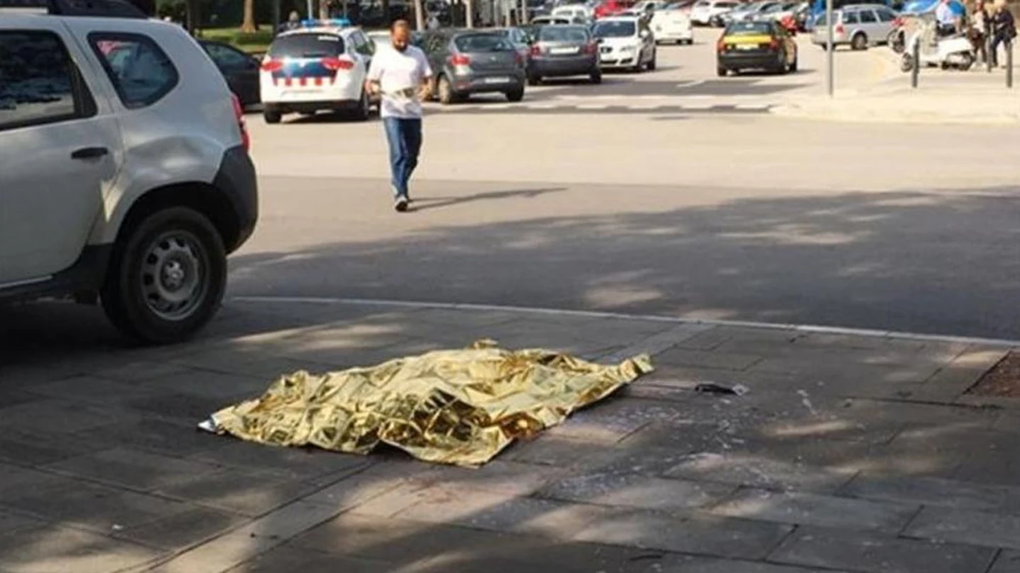 Imagen del perro abatido en Barcelona Imagen del perro abatido en Barcelona