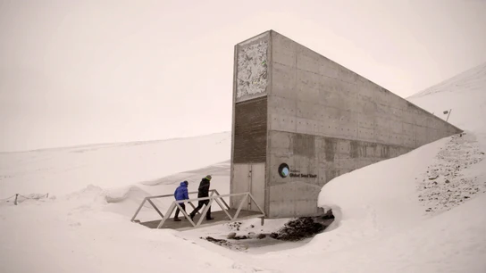 Enviado especial al techo del mundo Enviado especial al techo del mundo