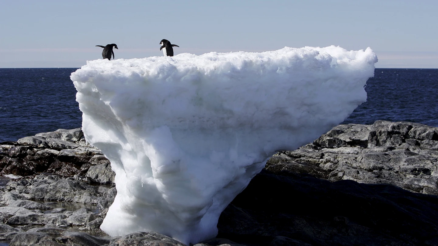 las condiciones del mar y el lecho de roca debajo de un glaciar pueden influir en la masa congelada las condiciones del mar y el lecho de roca debajo de un glaciar pueden influir en la masa congelada