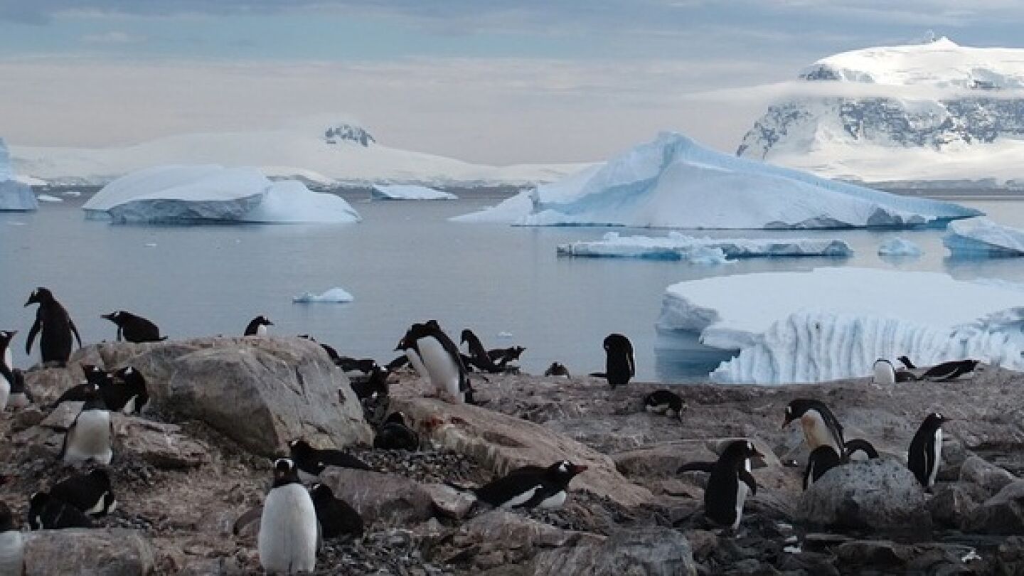 La Ant&aacute;rtida acoger&aacute; la mayor &aacute;rea mar&iacute;na protegida del mundo