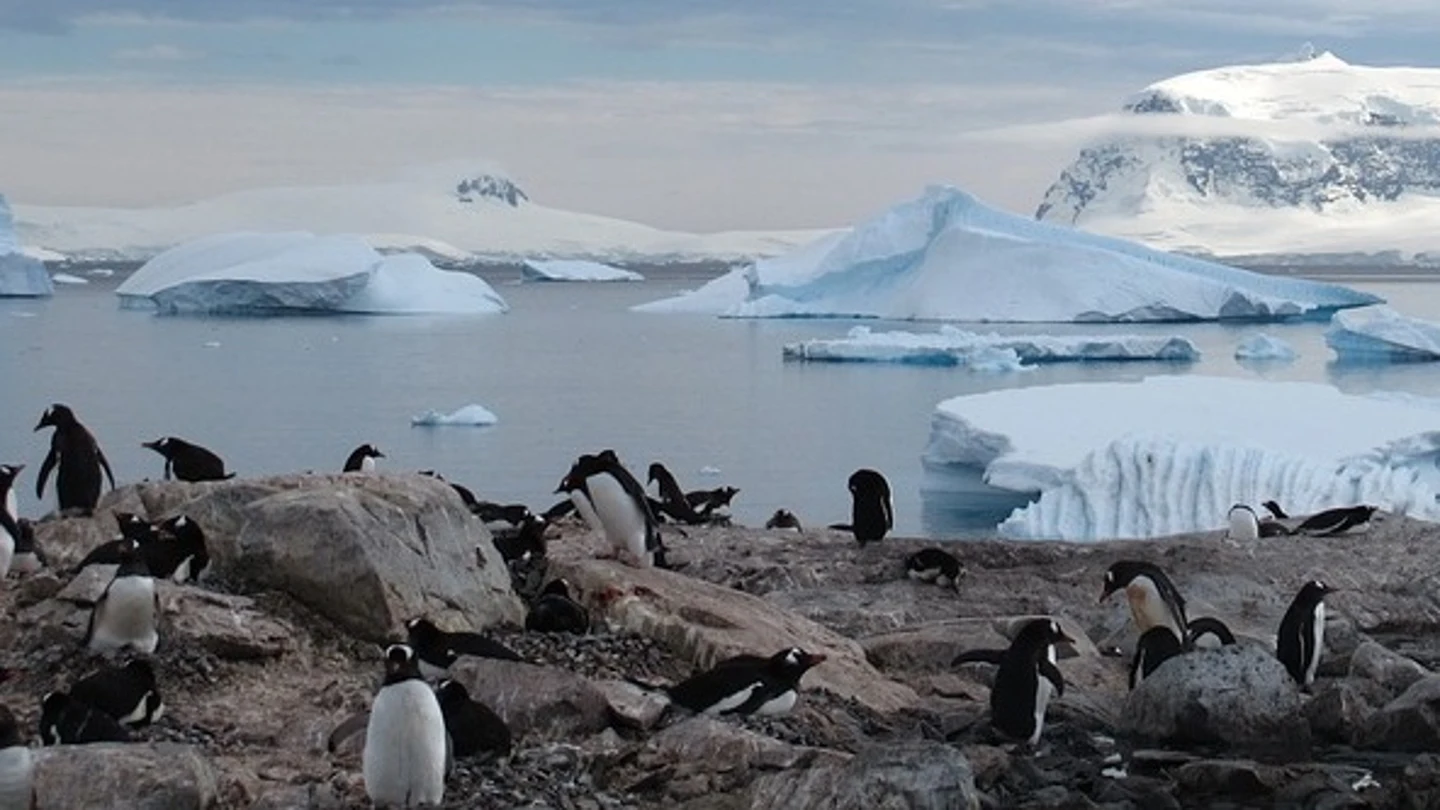 La Antártida acogerá la mayor área marína protegida del mundo La Antártida acogerá la mayor área marína protegida del mundo