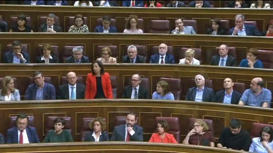 El PSOE inicia un procedimiento contra los 15 diputados díscolos El PSOE inicia un procedimiento contra los 15 diputados díscolos