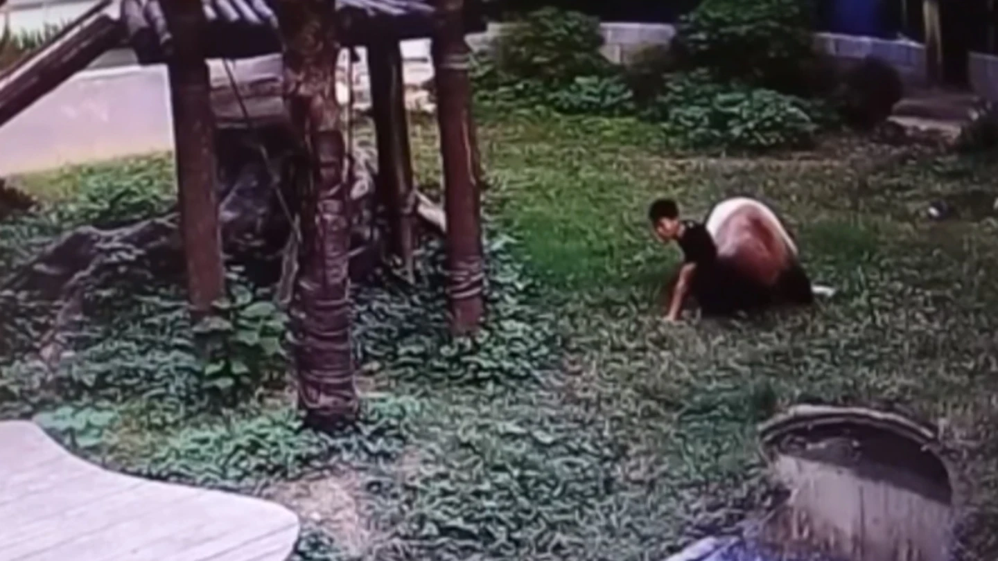 Oso panda atacando a un joven chino Oso panda atacando a un joven chino