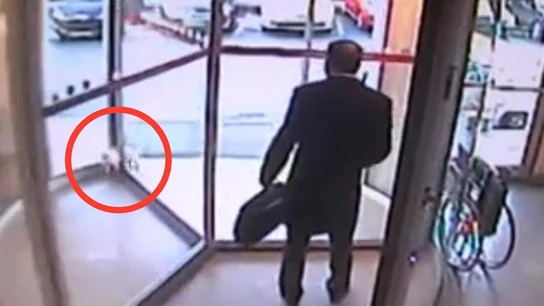 Gata atrapada en una puerta giratoria Gata atrapada en una puerta giratoria