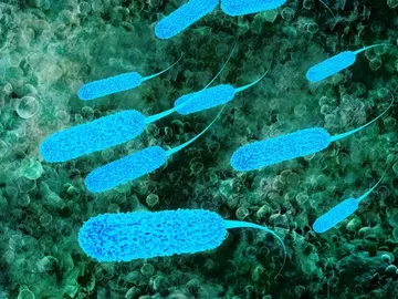 Microbios Microbios