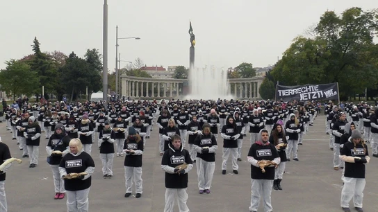 Unas 650 personas, según los organizadores, protestaron en Viena contra la explotación y el maltrato a los animales Unas 650 personas, según los organizadores, protestaron en Viena contra la explotación y el maltrato a los animales