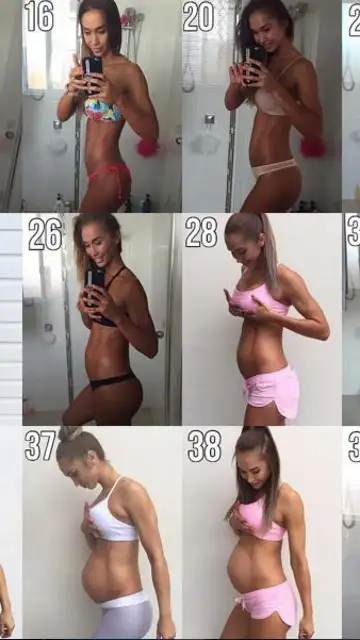 Fases del embarazo de Chontel Fases del embarazo de Chontel