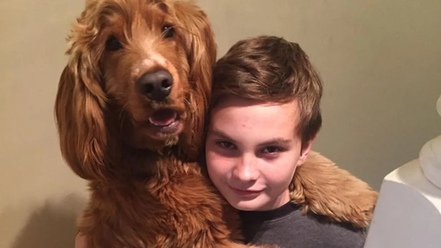 Oscar, el perro atropellado Oscar, el perro atropellado