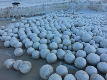 Bolas de nieve gigantes cubren una playa Bolas de nieve gigantes cubren una playa