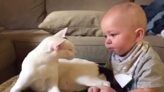 Bebé sujeta a su gato por la pata Bebé sujeta a su gato por la pata