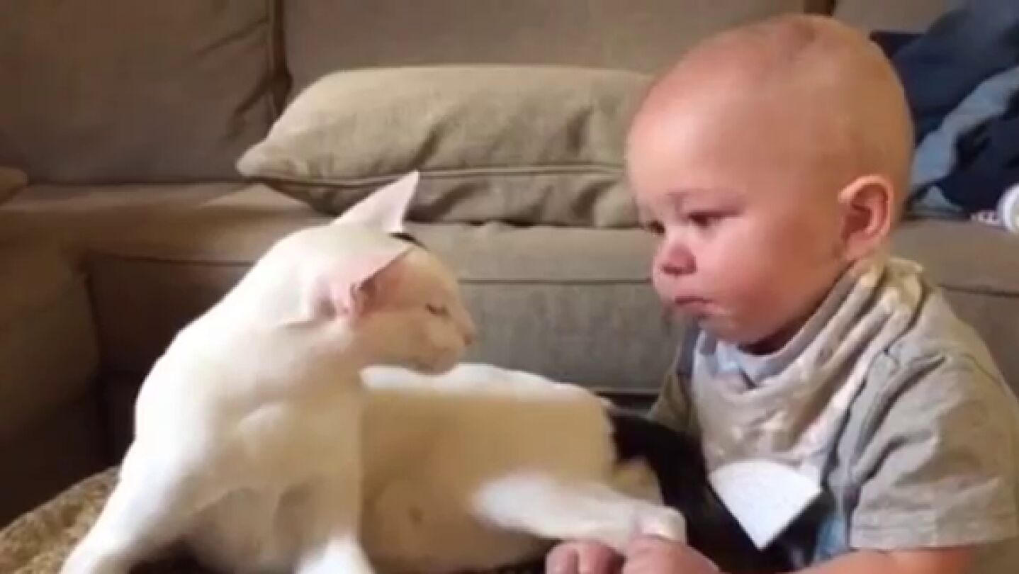 Beb&eacute; sujeta a su gato por la pata