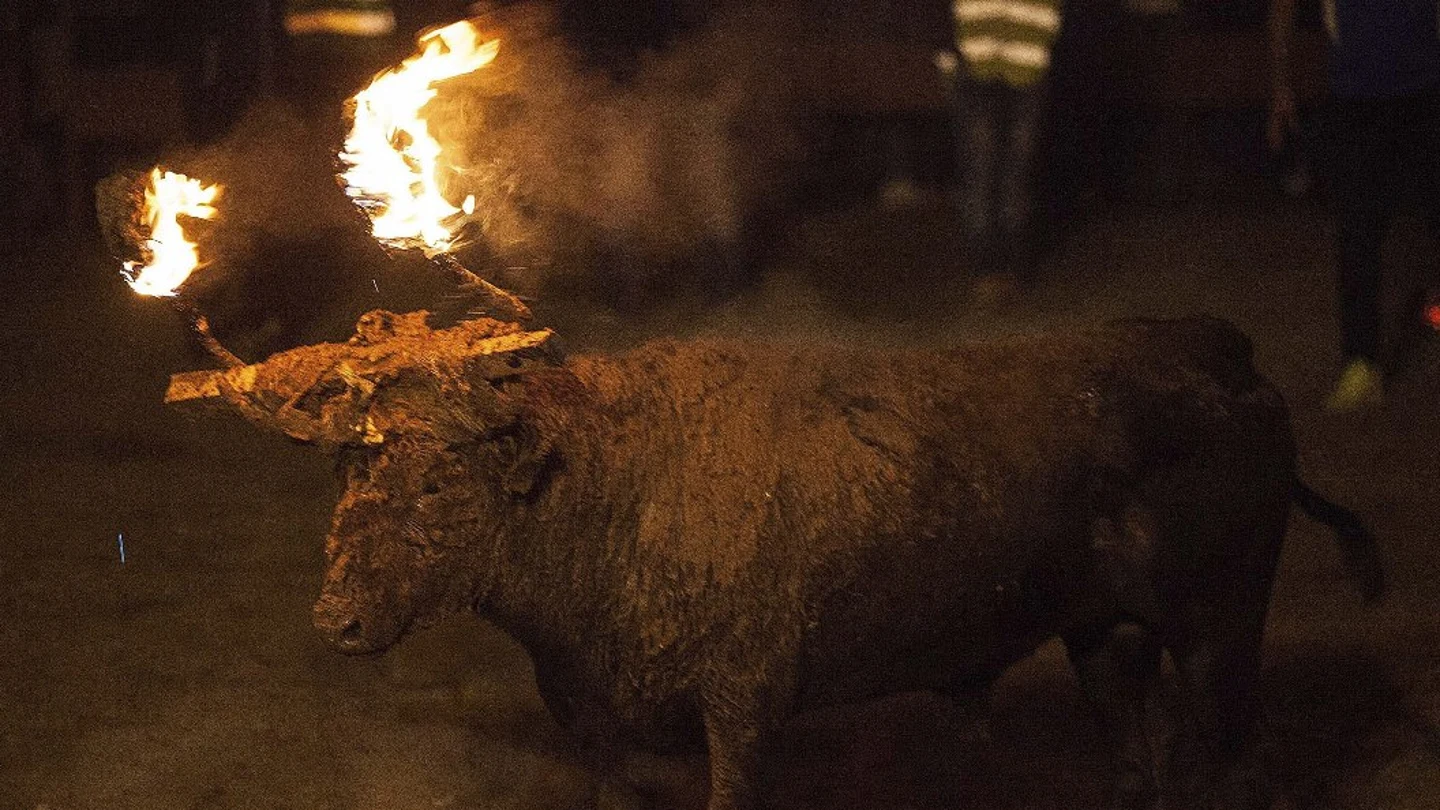 Toro Jubilo de Medinaceli Toro Jubilo de Medinaceli