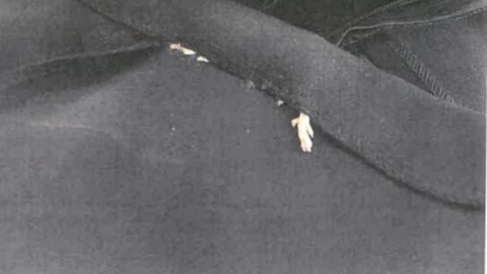 La pata del roedor asomaba por el vestido