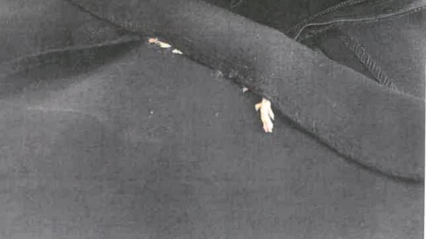 La pata del roedor asomaba por el vestido La pata del roedor asomaba por el vestido