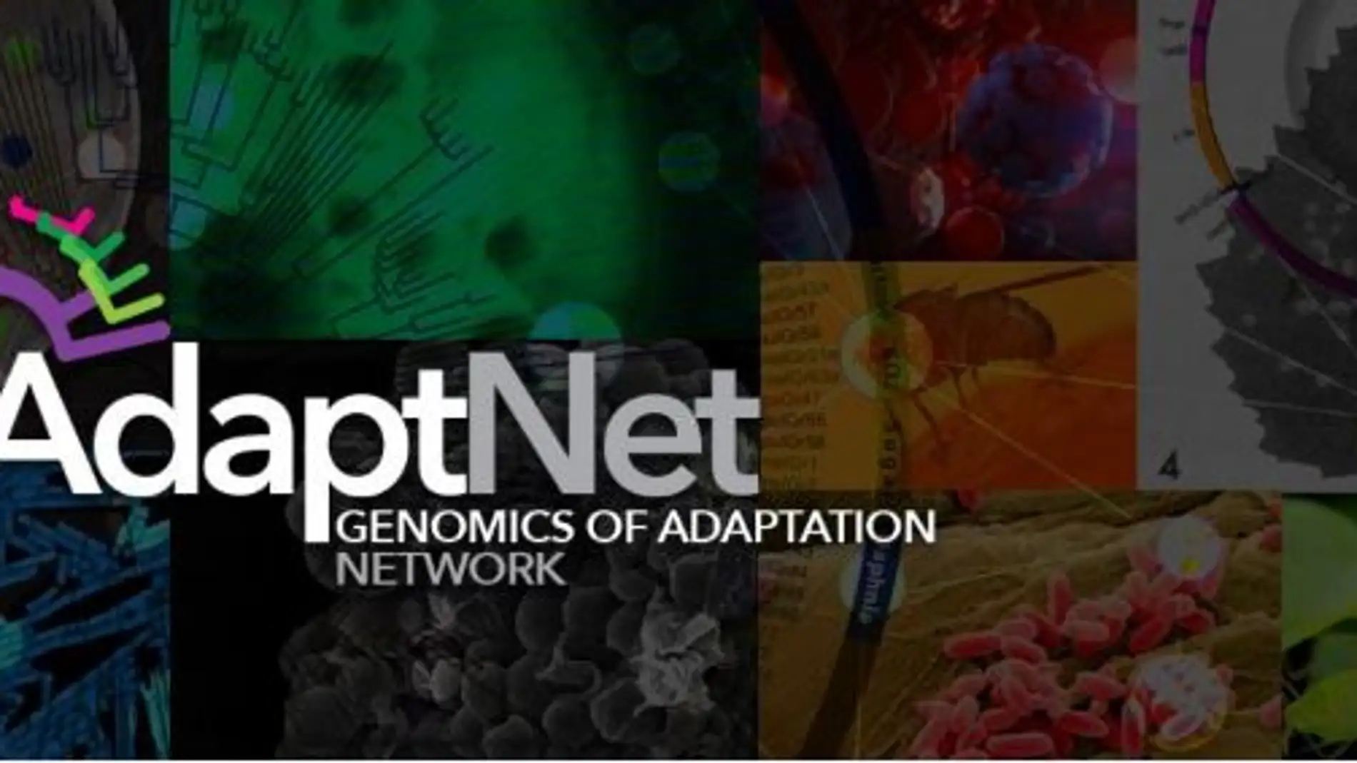 AdaptNET impulsará la colaboración de los equipos de investigación en el marco de la genómica evolutiva y potenciará la divulgación de sus avances a toda la sociedad.