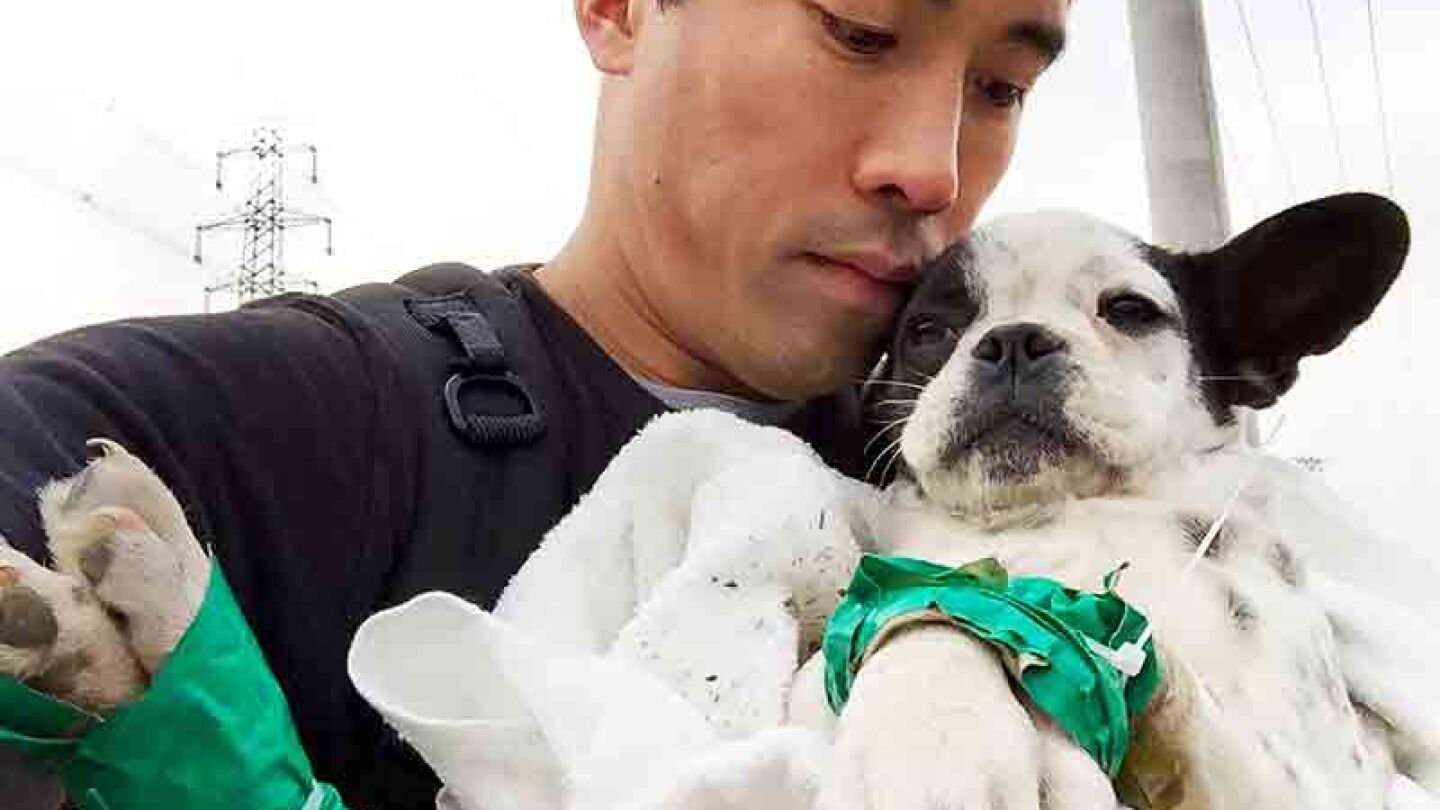 Marc Ching con uno de los perros 
