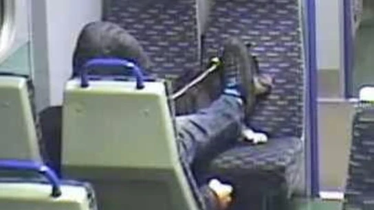 Maltrato animal en un tren de Reino Unido Maltrato animal en un tren de Reino Unido