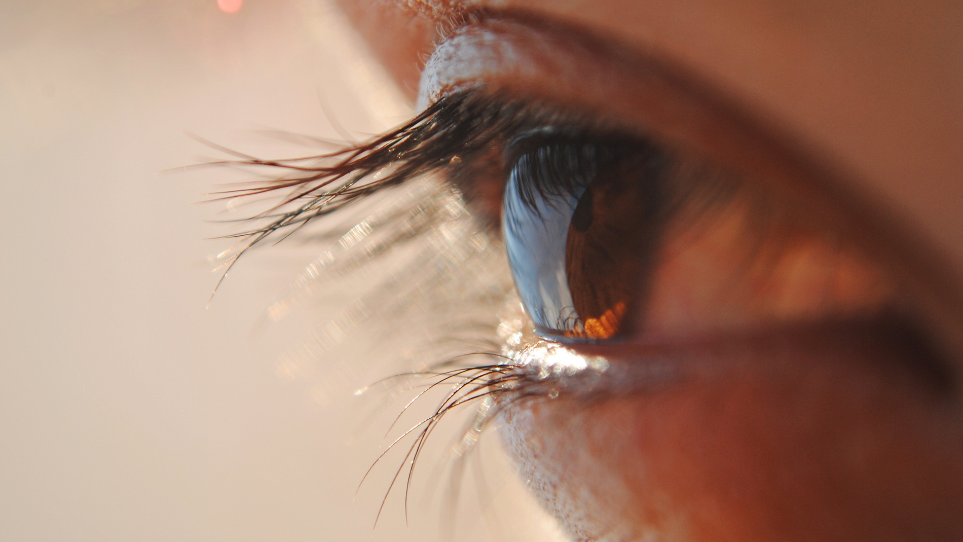 La mirada humana