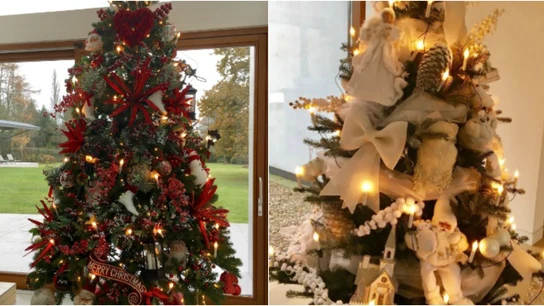 El antes y el después del árbol de Navidad de Koeman El antes y el después del árbol de Navidad de Koeman
