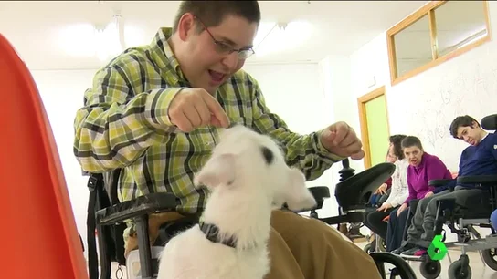 Frame 87.333503 de: TERAPIA PERROS Frame 87.333503 de: TERAPIA PERROS