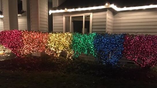 Bandera de LGBT con luces de Navidad 