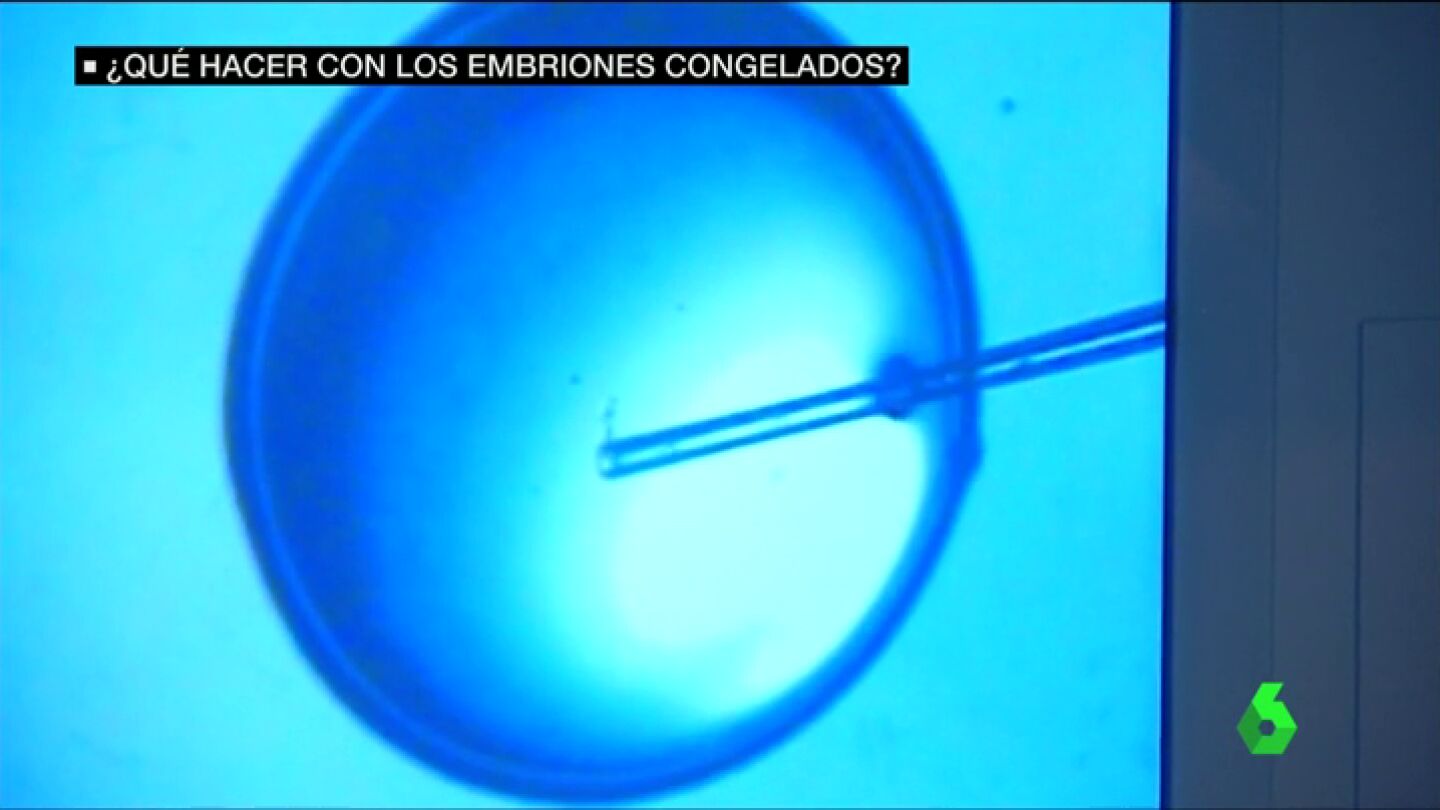 Frame 28.827944 de: Donarlos a la ciencia, en adopci&oacute;n o destruirlos... &iquest;Qu&eacute; hacer con los m&aacute;s de 230.000 embriones congelados?