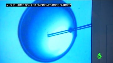 Frame 28.827944 de:  Donarlos a la ciencia, en adopción o destruirlos... ¿Qué hacer con los más de 230.000 embriones congelados?