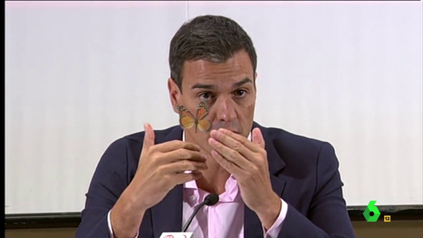 Pedro S&aacute;nchez