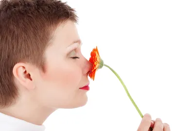 Una mujer huele una flor Una mujer huele una flor