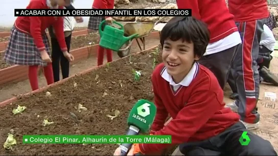 Frame 50.348167 de: obesidad infantil Frame 50.348167 de: obesidad infantil