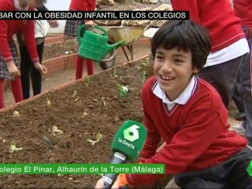 Frame 50.348167 de: obesidad infantil Frame 50.348167 de: obesidad infantil