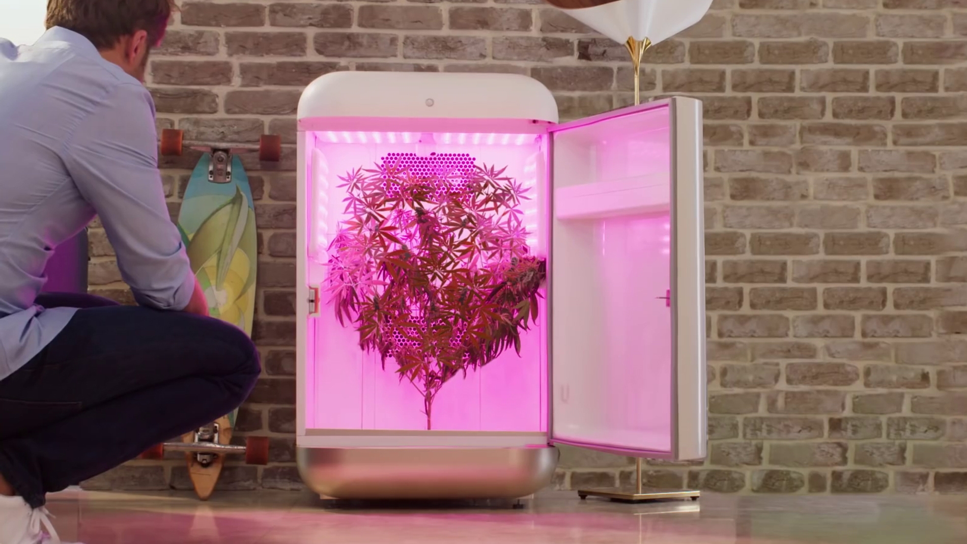 Seedo, la nevera para cultivar marihuana