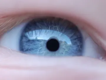 Un ojo humano Un ojo humano