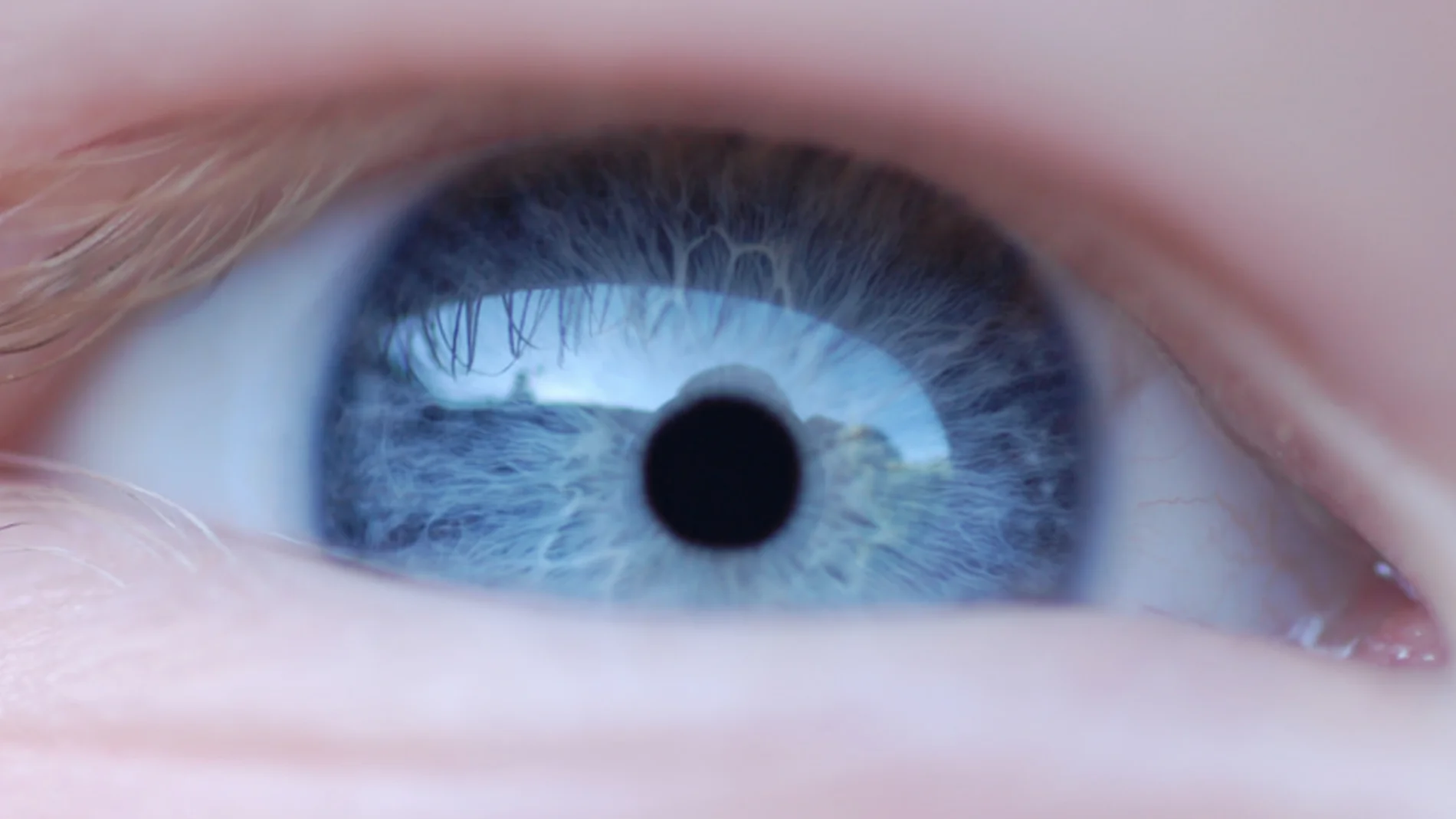 Un ojo humano