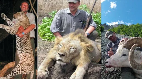 Polémico Cazador Polémico Cazador