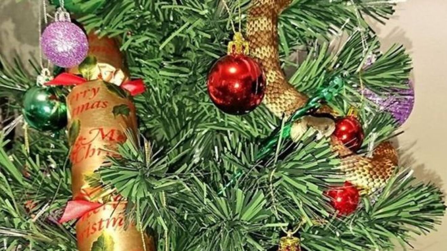 Imagen de la serpiente enroscada en el &aacute;rbol de Navidad