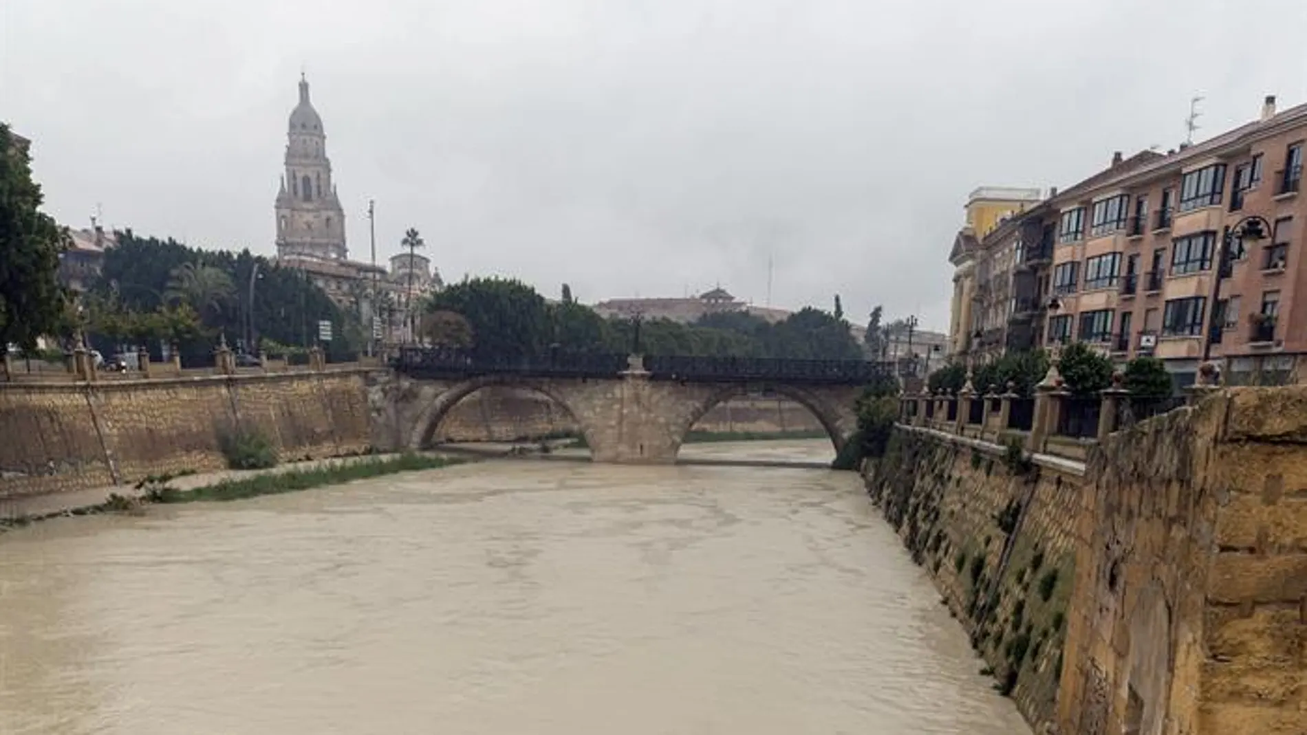  El rio Segura a su paso por Murcia