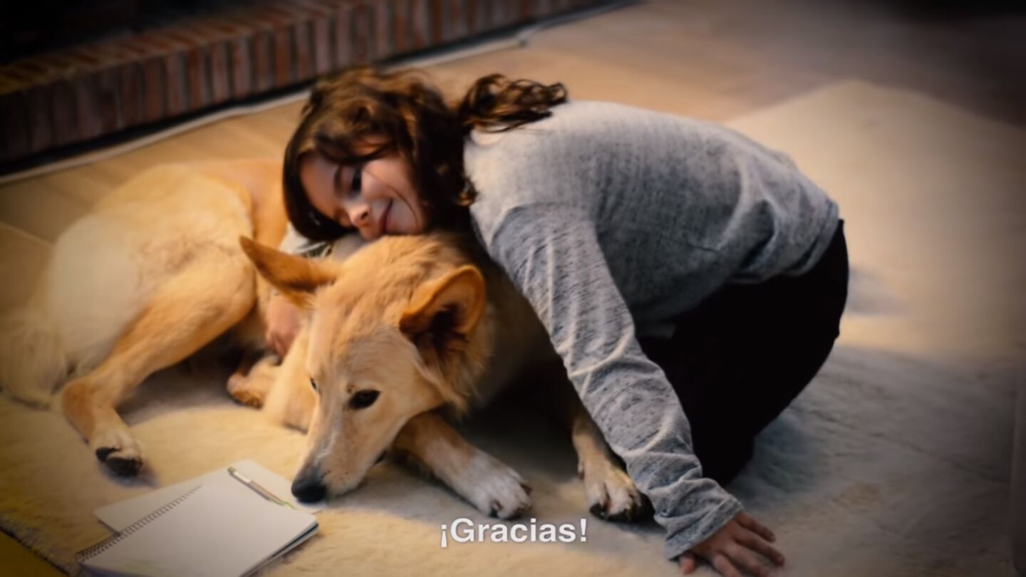 Imagen de la ni&ntilde;a, y su perro