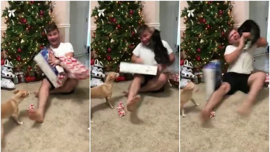 Un gato ataca a su amo mientras abre los regalos de Navidad Un gato ataca a su amo mientras abre los regalos de Navidad