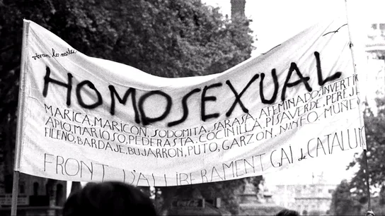 Frame 14.226951 de: Hace 38 años que no es delito ser homosexual en España Frame 14.226951 de: Hace 38 años que no es delito ser homosexual en España