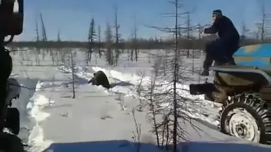 Imágenes de los autores de la muerte del oso Imágenes de los autores de la muerte del oso
