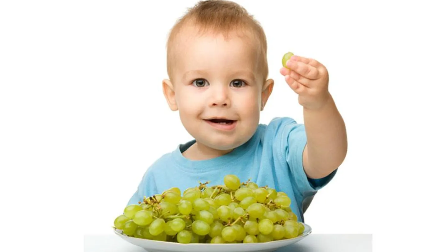 Las uvas enteras pueden provocar atragantamiento en niños Las uvas enteras pueden provocar atragantamiento en niños