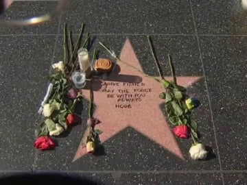 Frame 0.0 de: Fans de Carrie Fisher crean una estrella en su honor en el Paseo de la Fama de Hollywood Frame 0.0 de: Fans de Carrie Fisher crean una estrella en su honor en el Paseo de la Fama de Hollywood