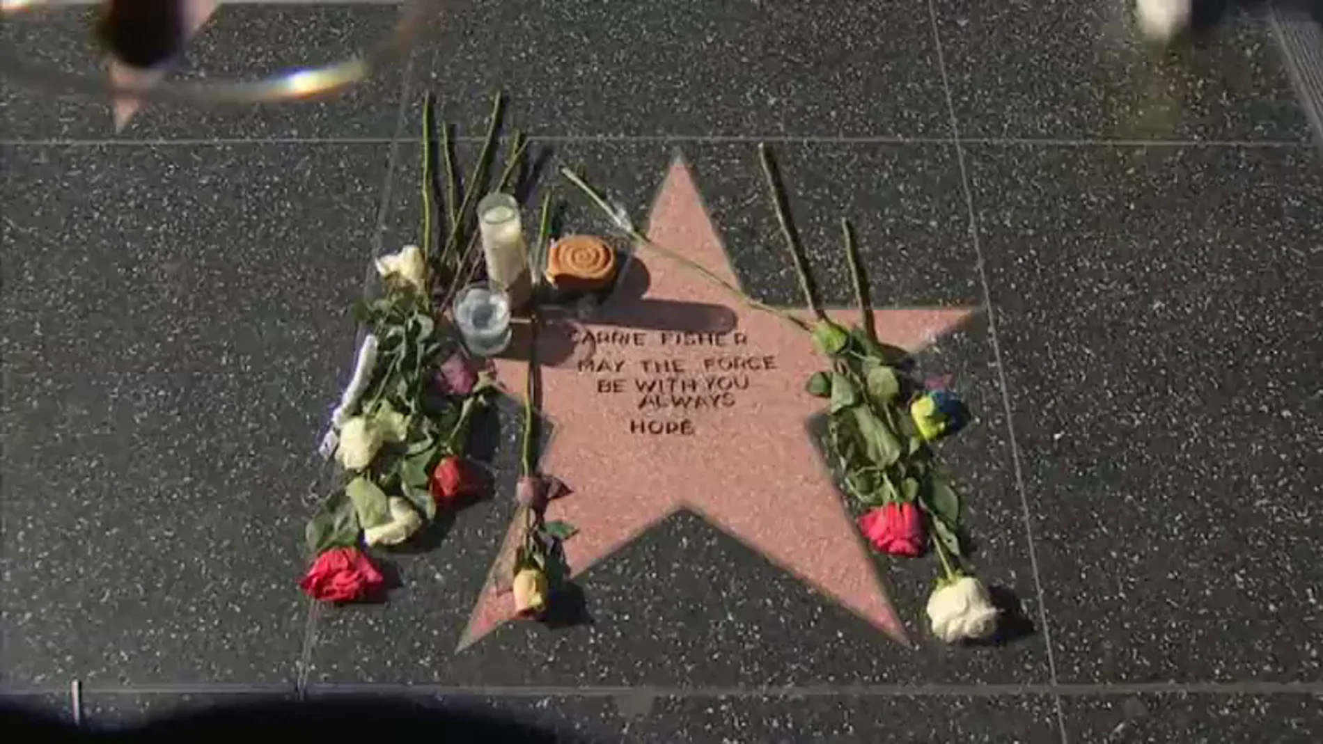 Frame 0.0 de: Fans de Carrie Fisher crean una estrella en su honor en el Paseo de la Fama de Hollywood
