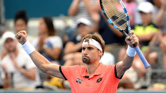 David Ferrer celebra su victoria David Ferrer celebra su victoria