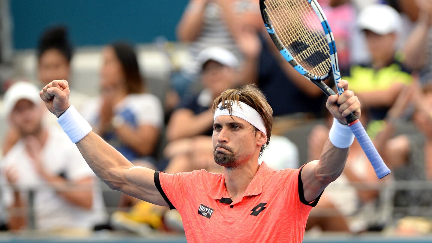 David Ferrer celebra su victoria